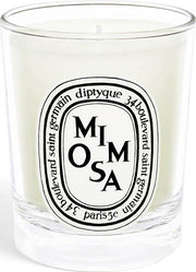 mimosa