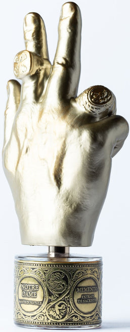 notre dame notte di natale