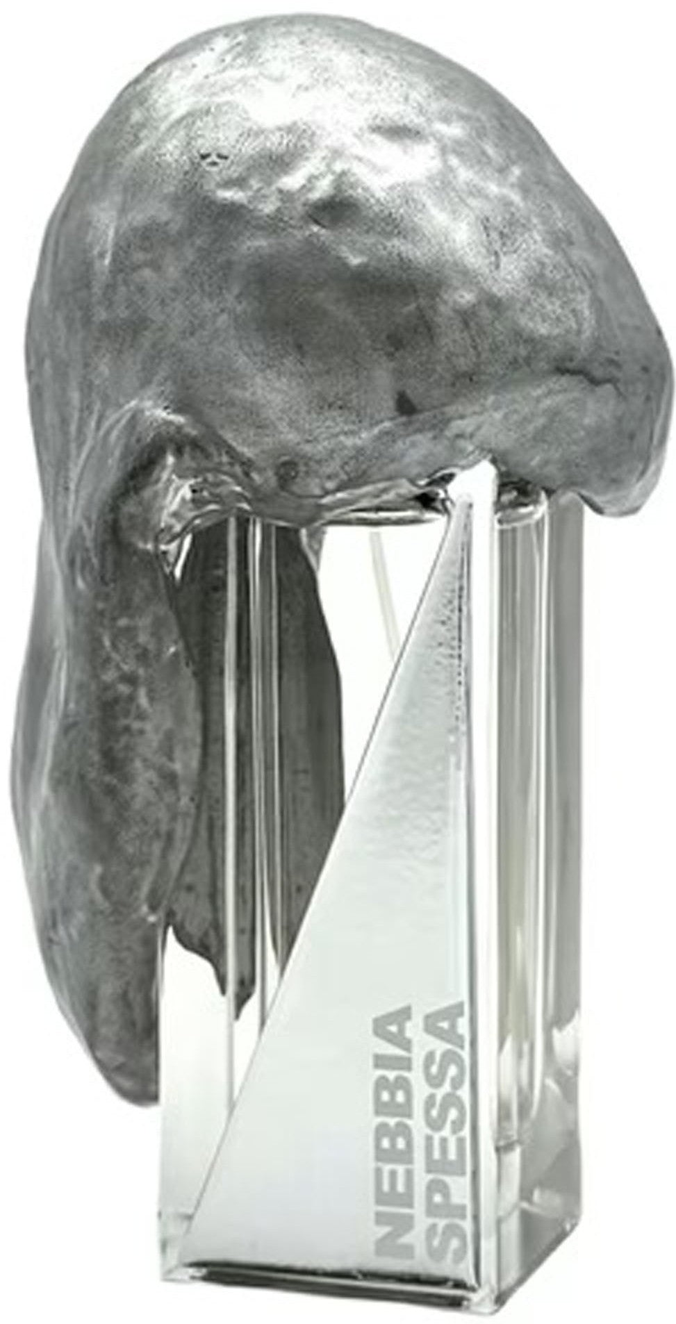 Nebbia Spessa Extrait de Parfum