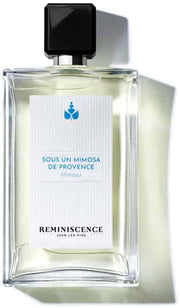 sous un mimosa de provence