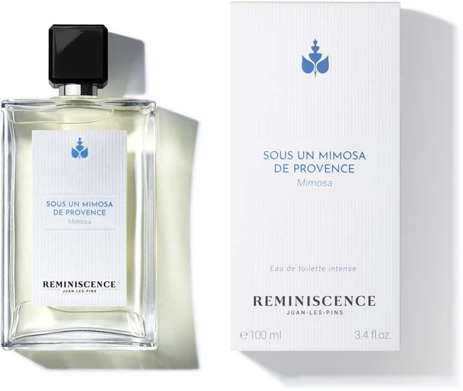 sous un mimosa de provence