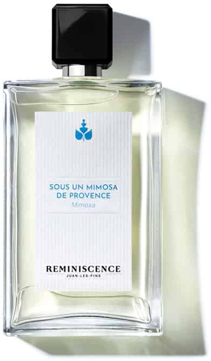 sous un mimosa de provence