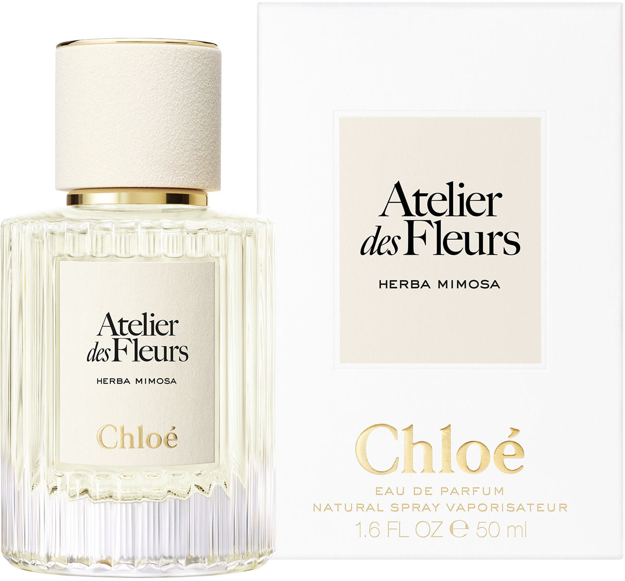 atelier des fleurs herba mimosa