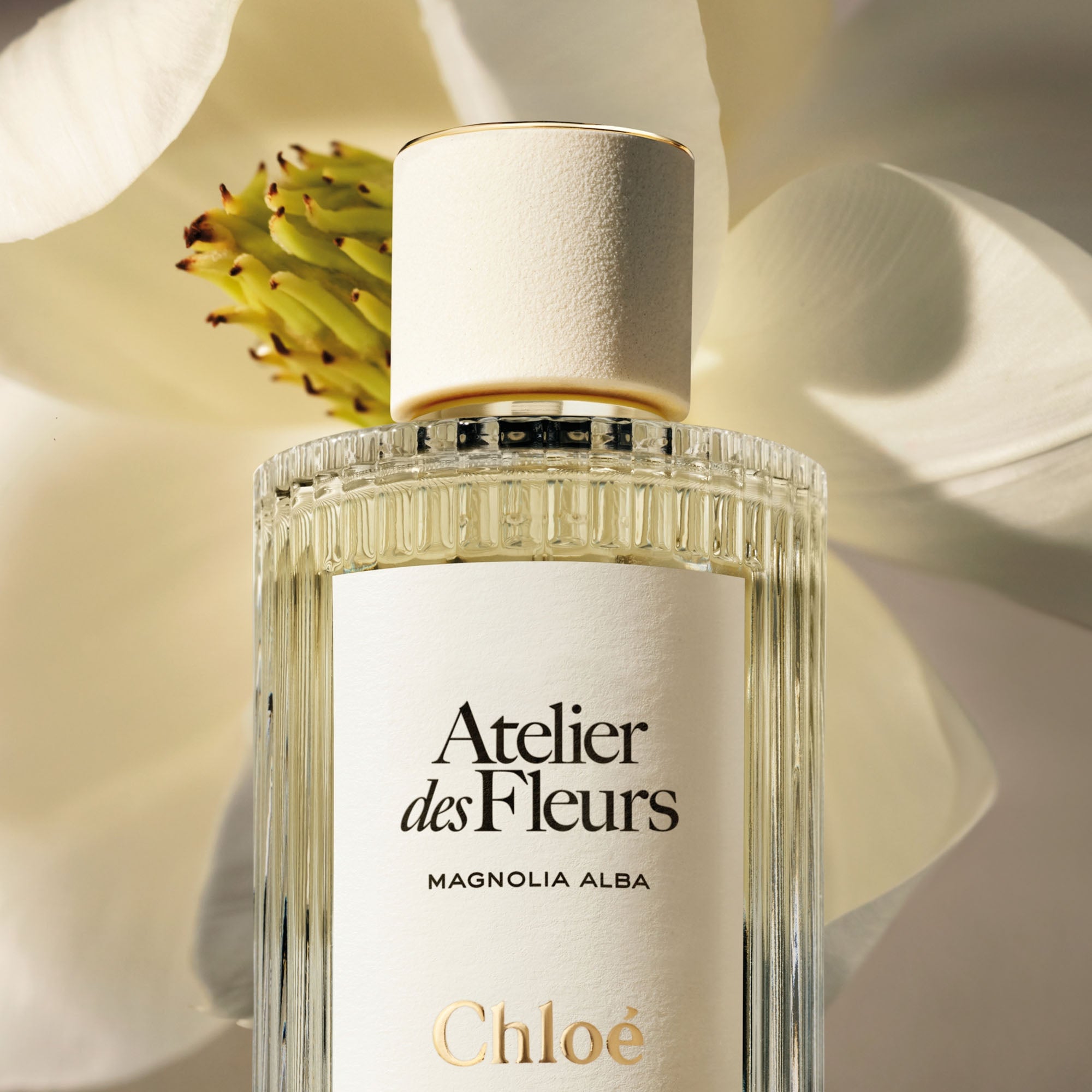Atelier des Fleurs Magnolia Alba Eau de Parfum 50ml - Chloé