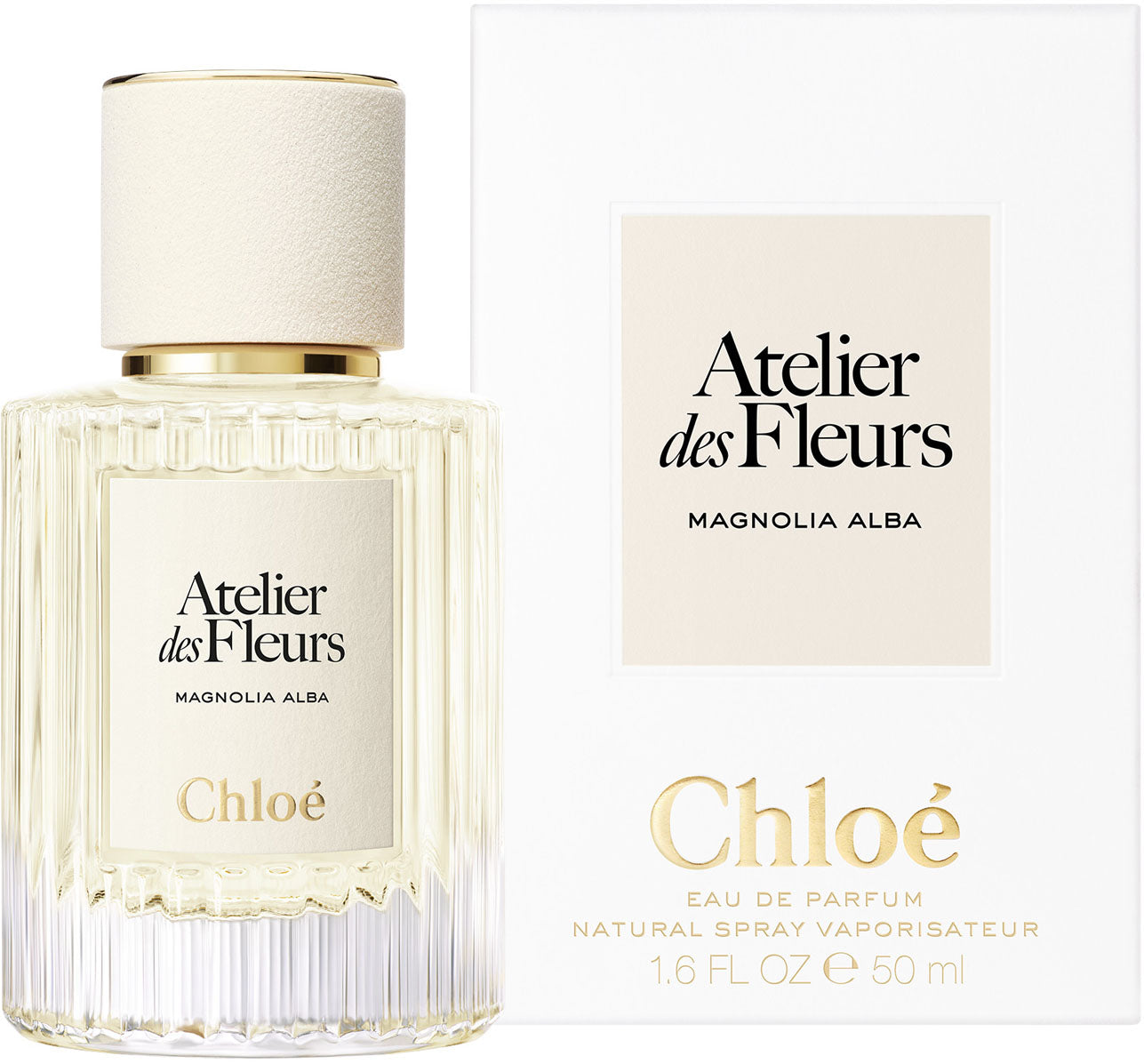 atelier des fleurs magnolia alba