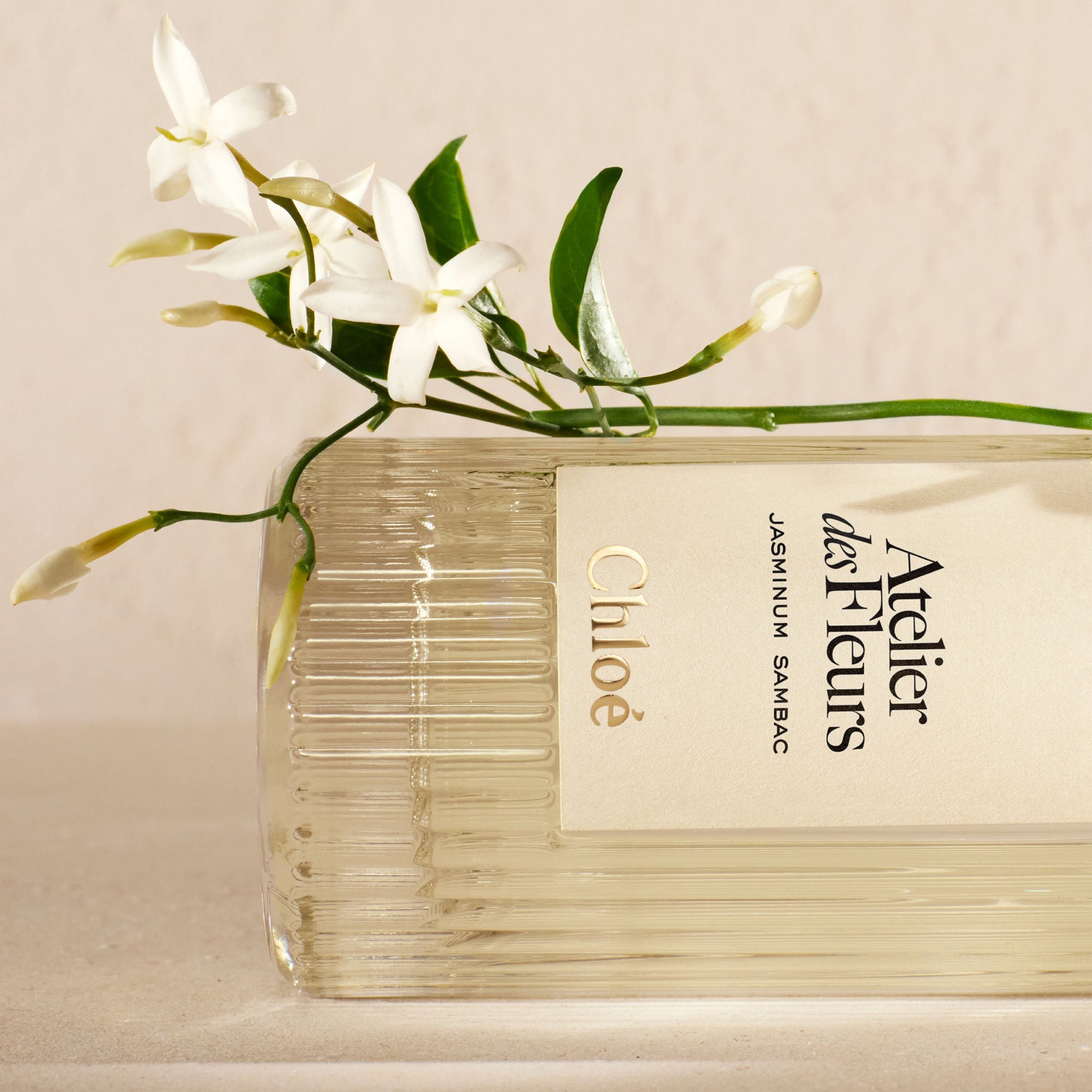 Chloé atelier des fleurs jasminum sambac eau de parfum 50ml