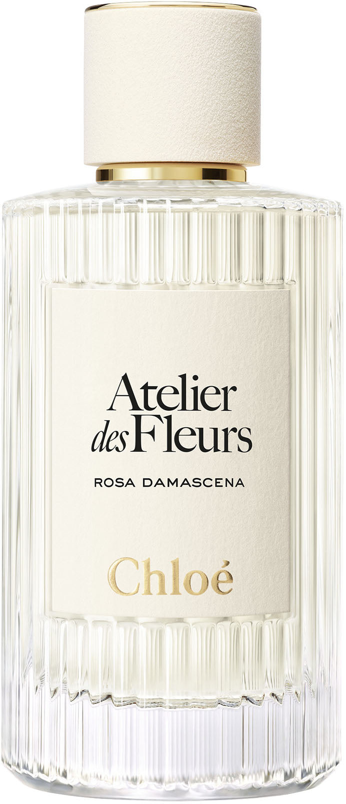 atelier des fleurs rosa damascena