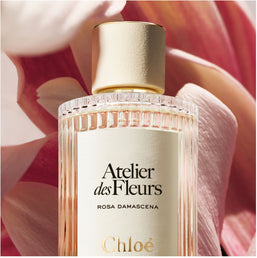atelier des fleurs rosa damascena