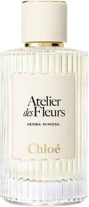 atelier des fleurs herba mimosa
