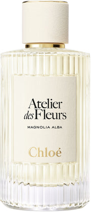 atelier des fleurs magnolia alba