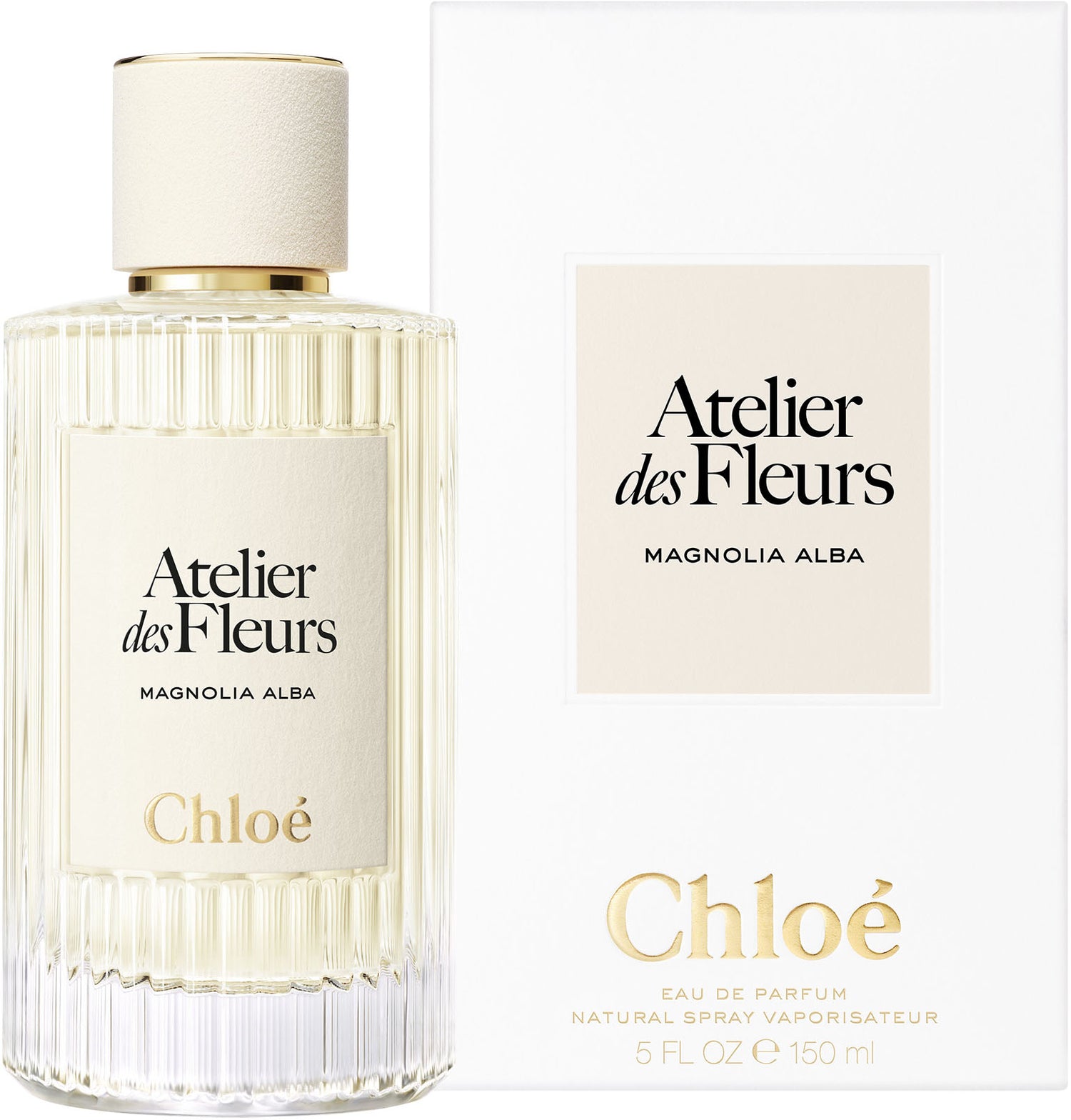 atelier des fleurs magnolia alba