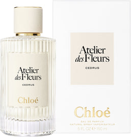 atelier des fleurs cedrus
