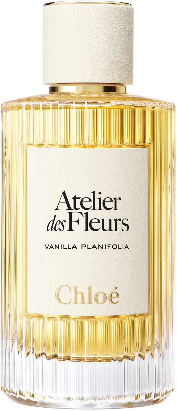 atelier des fleurs vanilla planifolia