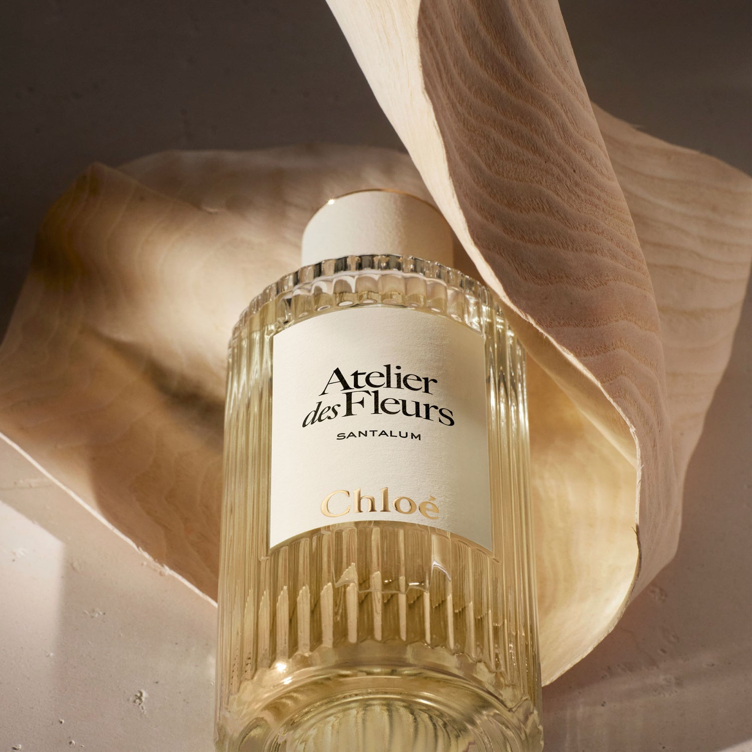 atelier des fleurs santalum