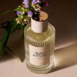atelier des fleurs hysope