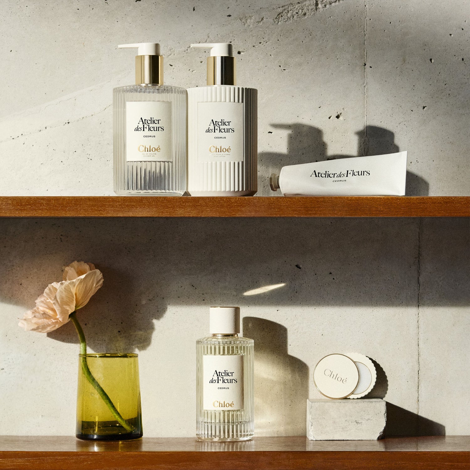 atelier des fleurs cedrus perfumed shower gel