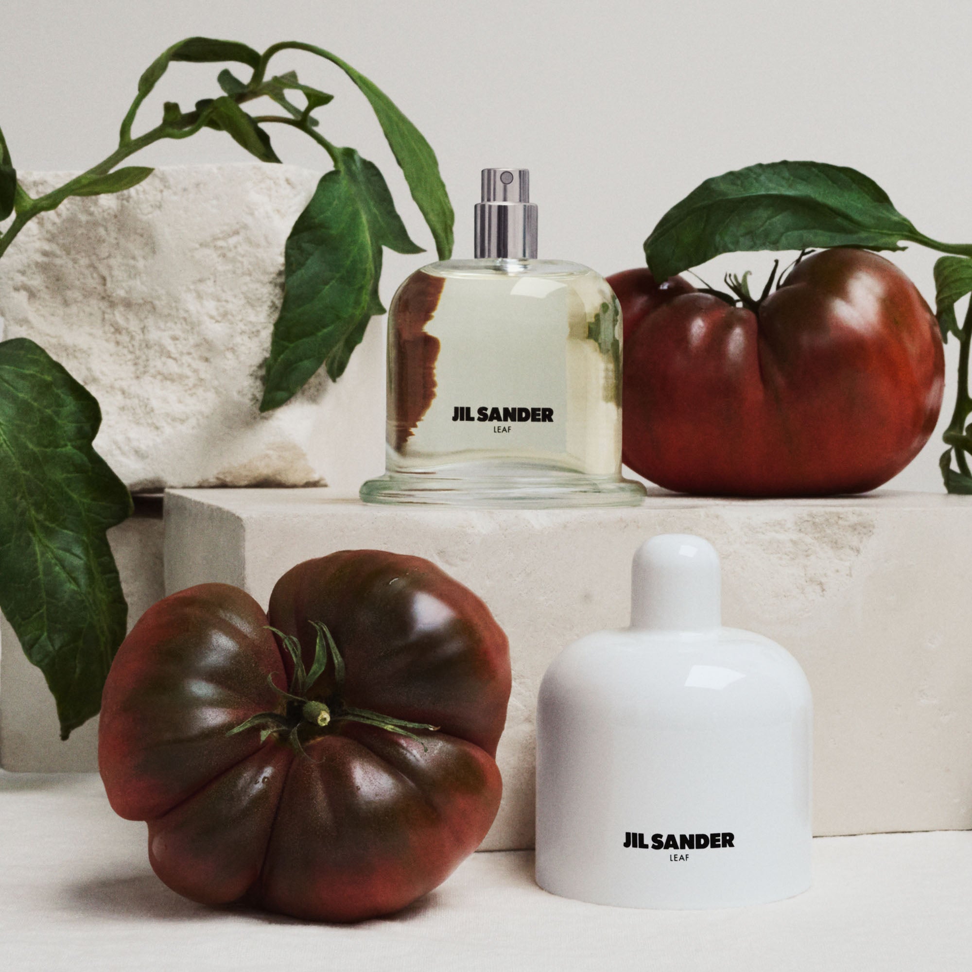 Jil sander leaf eau de parfum 100ml | agrumata e speziata