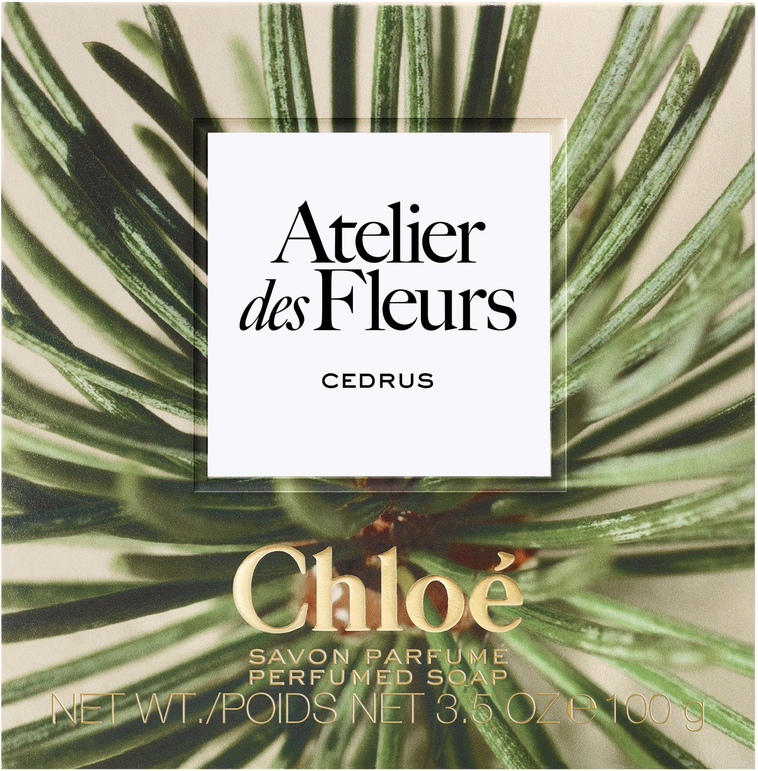 atelier des fleurs cedrus soap