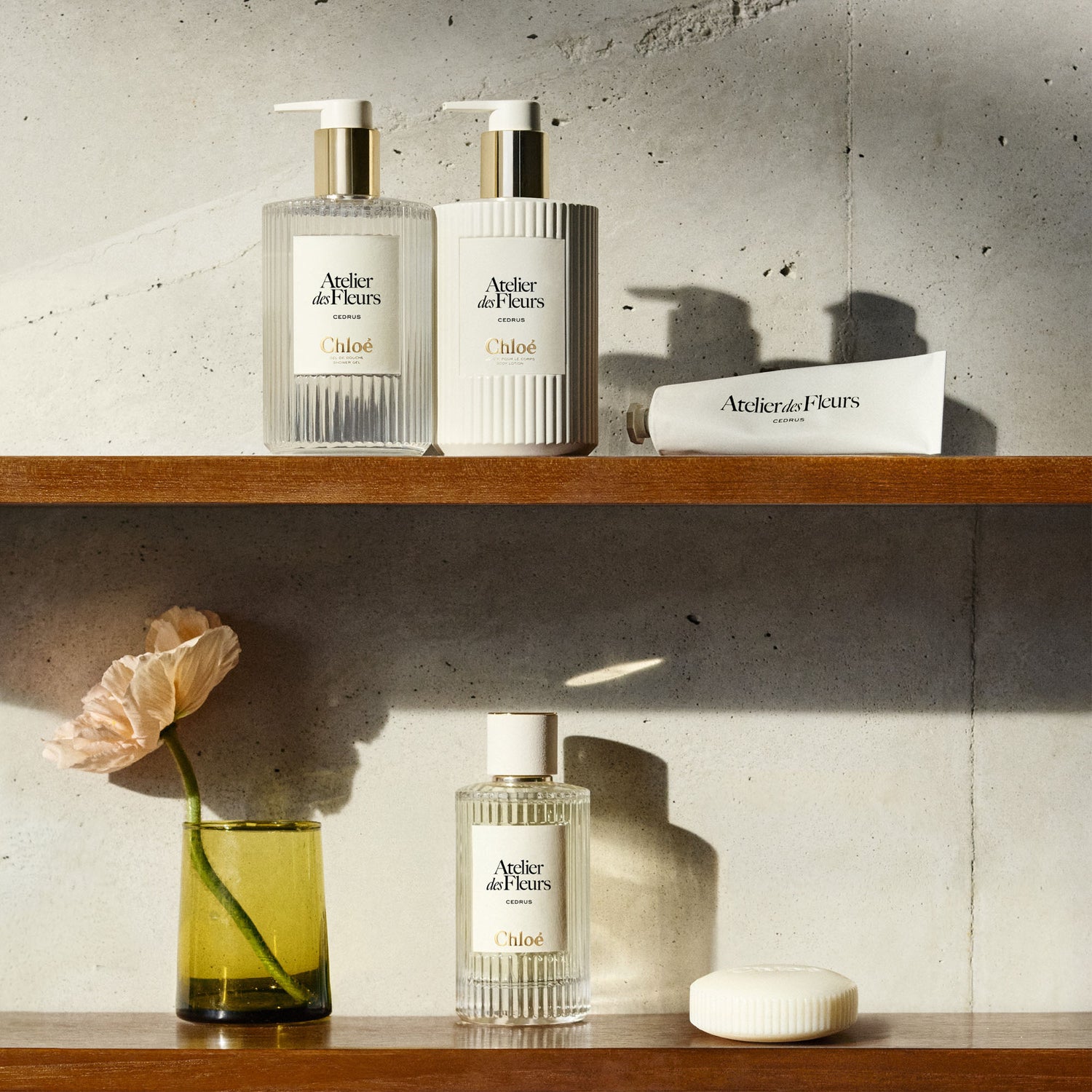 atelier des fleurs cedrus soap