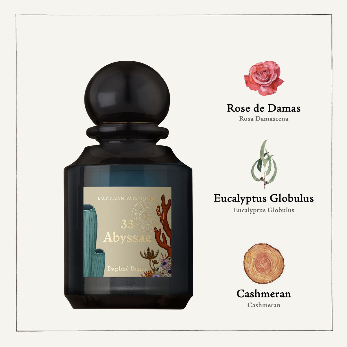 Set 33 Abyssae  Eau de Parfum + Rose Hand & Body Wash