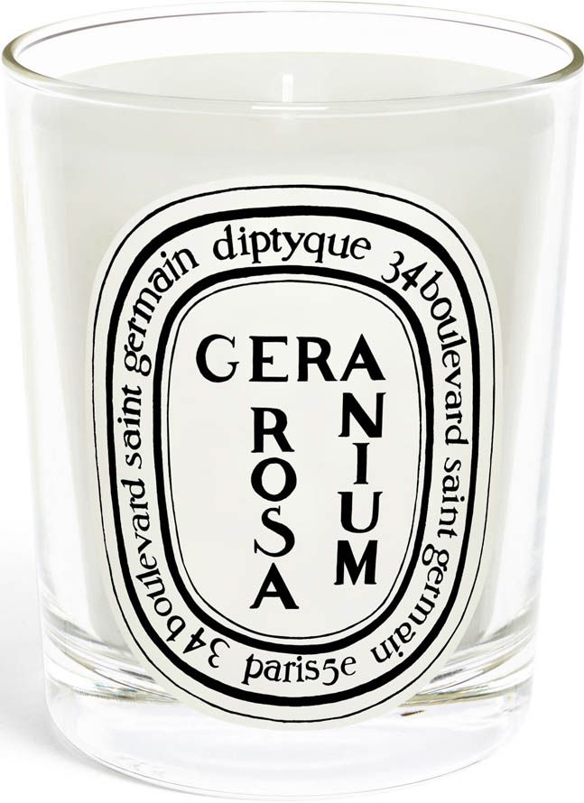 Geranium Rosa Candela