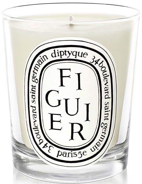 Figuier Bougie Candela