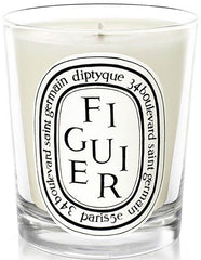 figuier bougie