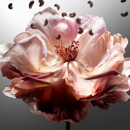 Her Majesty Eau de Parfum