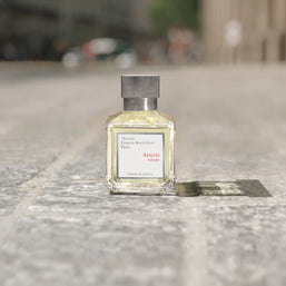 amyris homme
