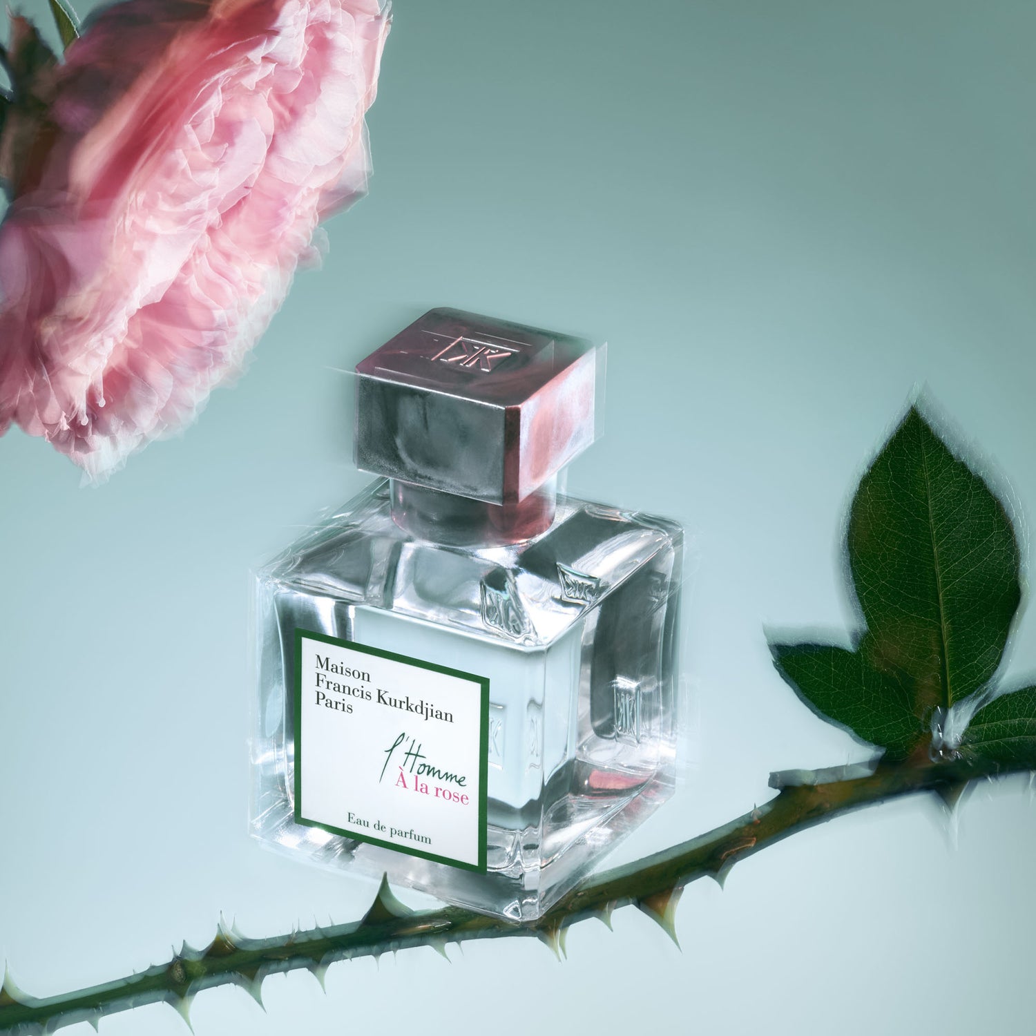 l'homme à la rose