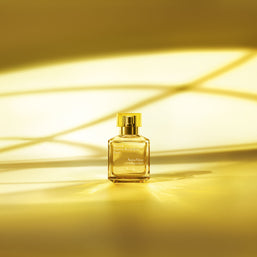 aqua vitae cologne forte