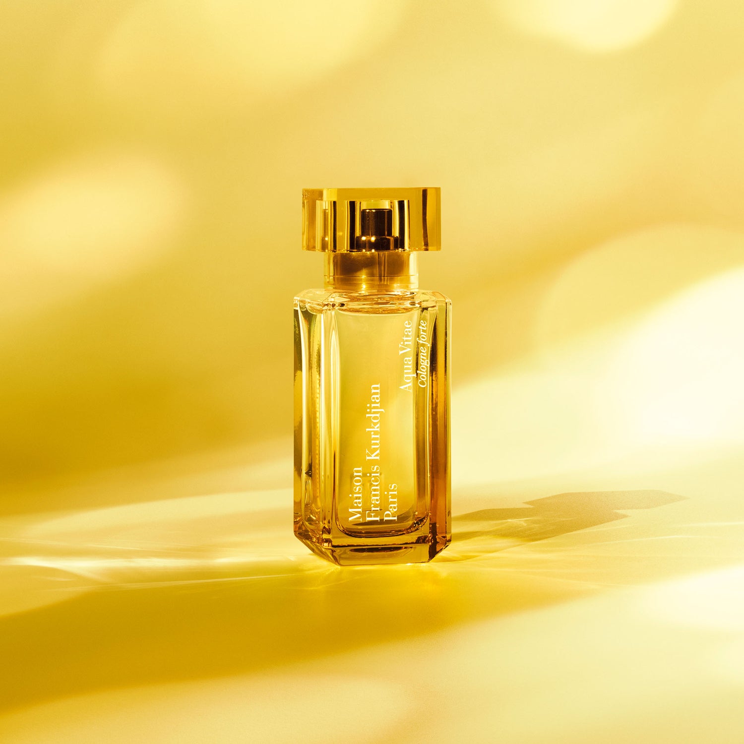 set cologne forte collection