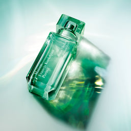 aqua media cologne forte