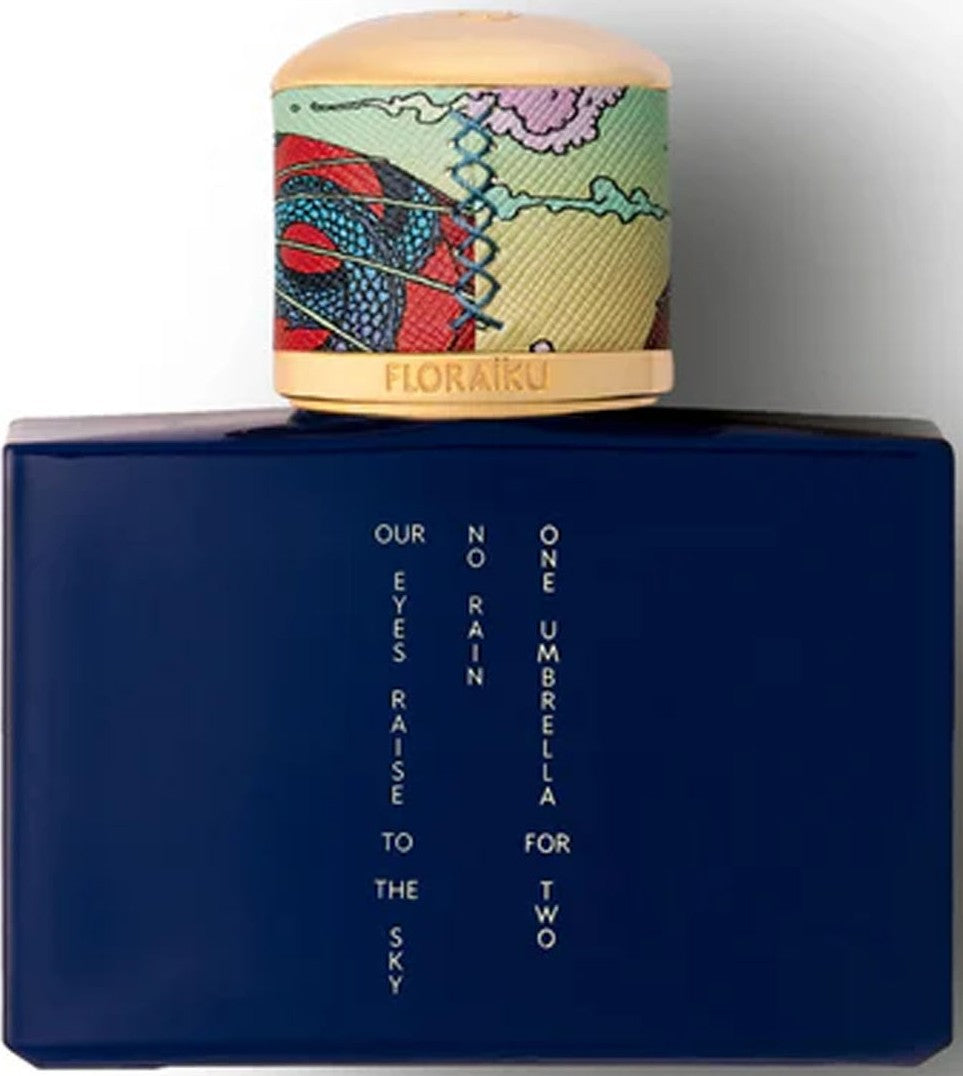 one umbrella for two