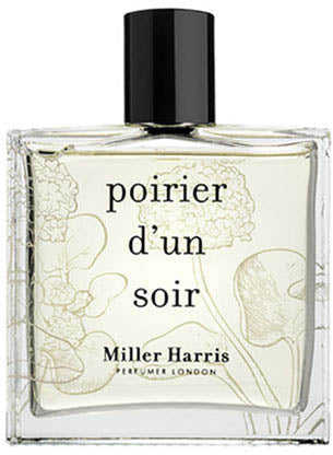 poirier d'un soir