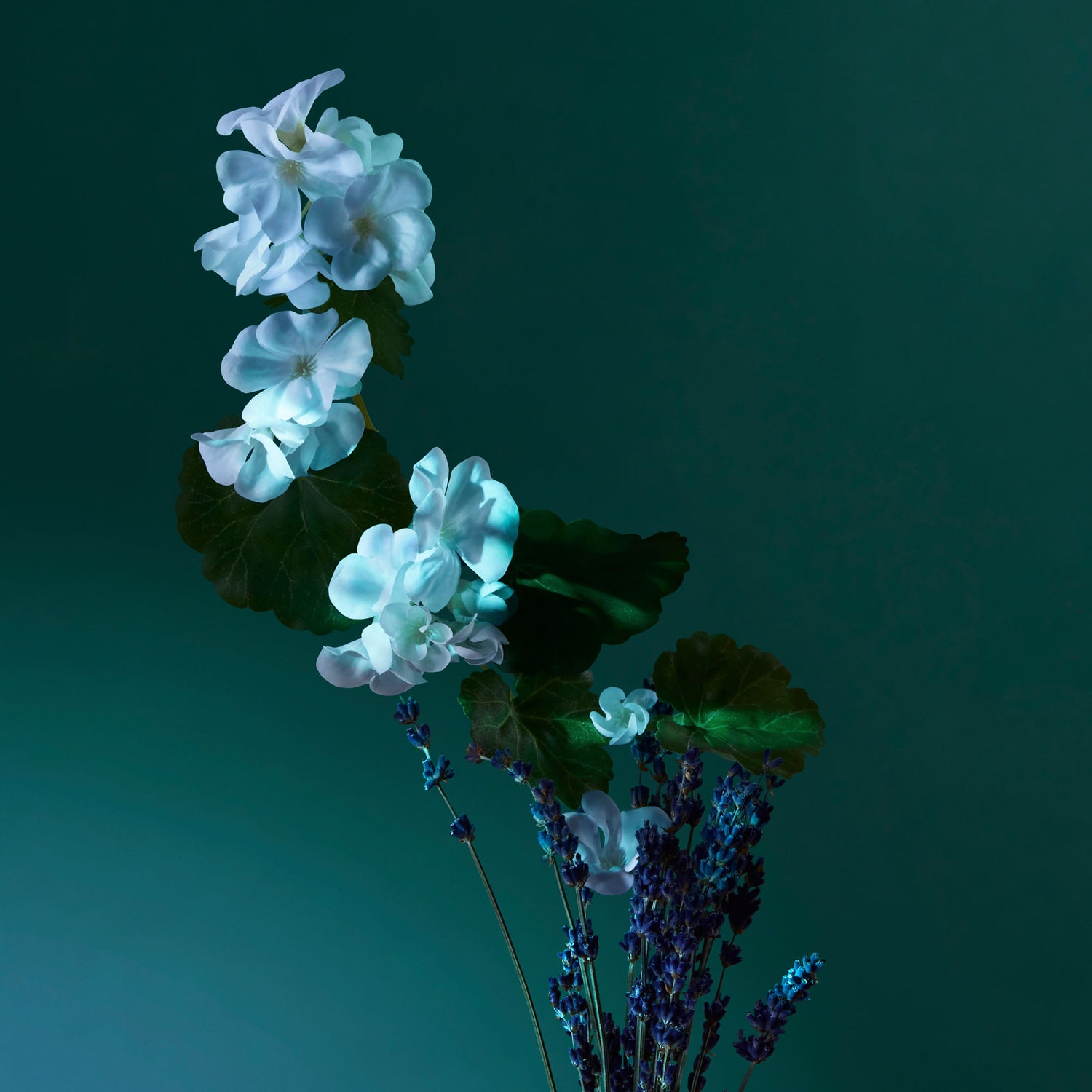 a balm of calm collection potions