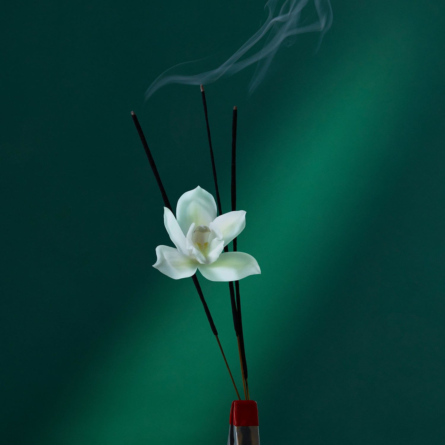 eau the audacity collection potions