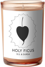 holy ficus candela