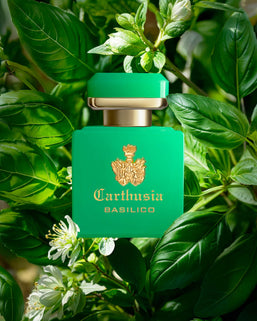 profumo intenso basilico