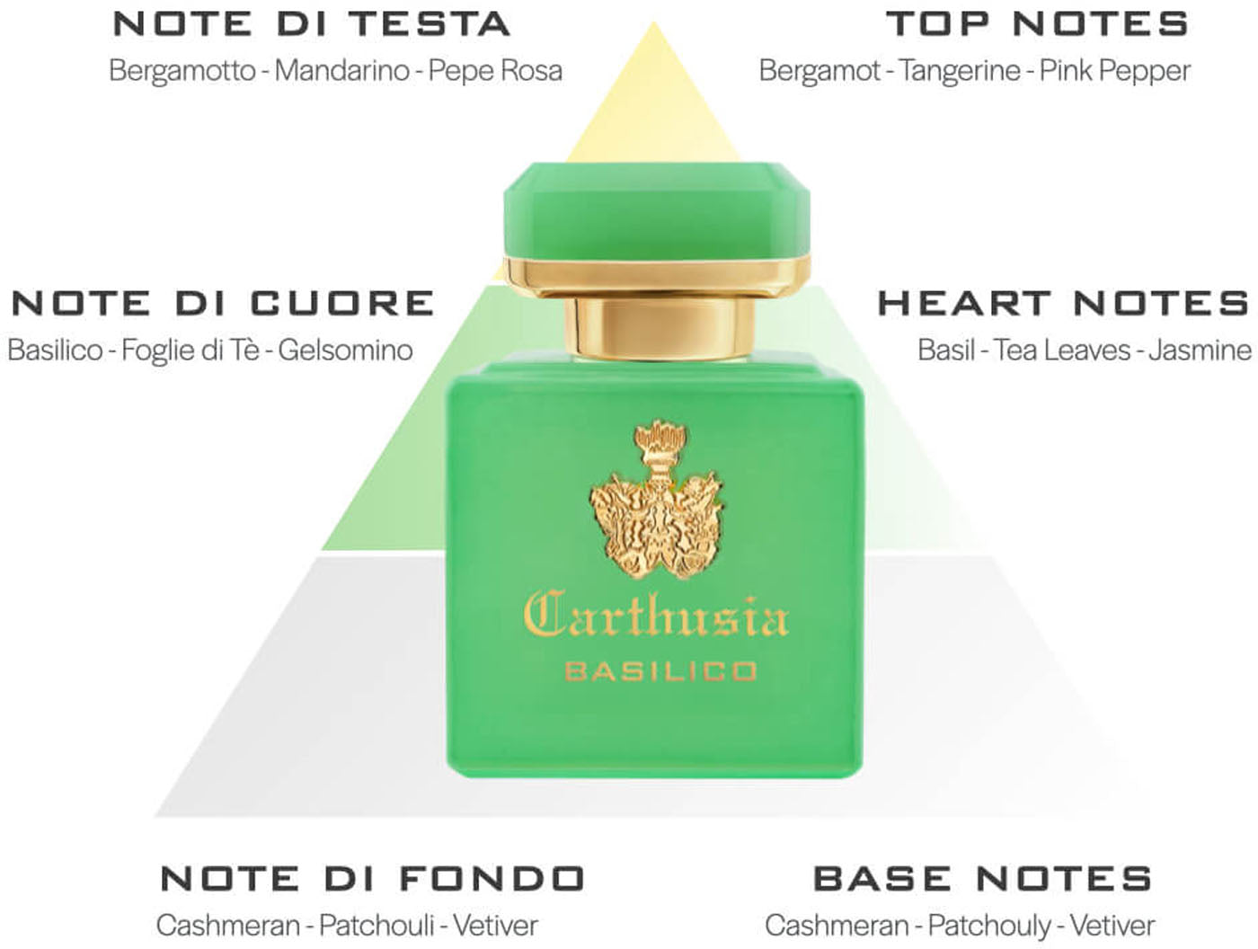 profumo intenso basilico