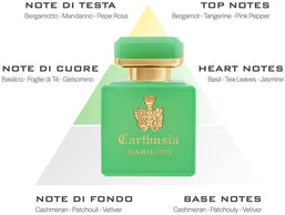 profumo intenso basilico