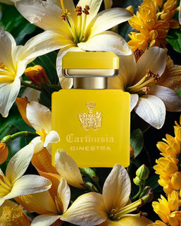 profumo intenso ginestra
