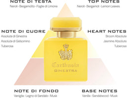 profumo intenso ginestra