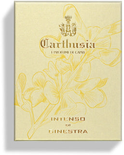 profumo intenso ginestra