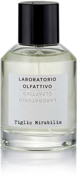 tiglio mirabilis