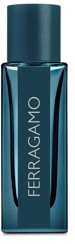ferragamo intense leather