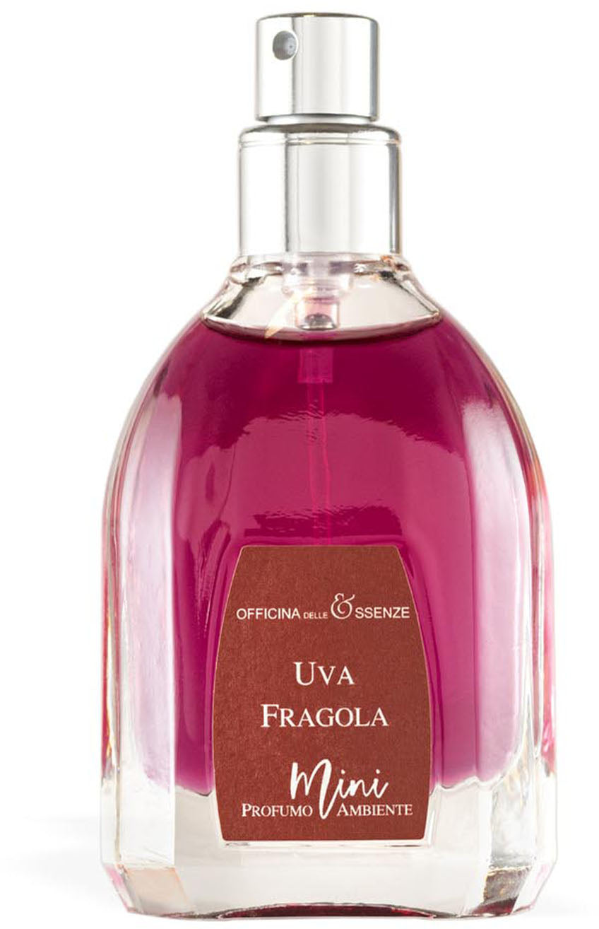 uva fragola