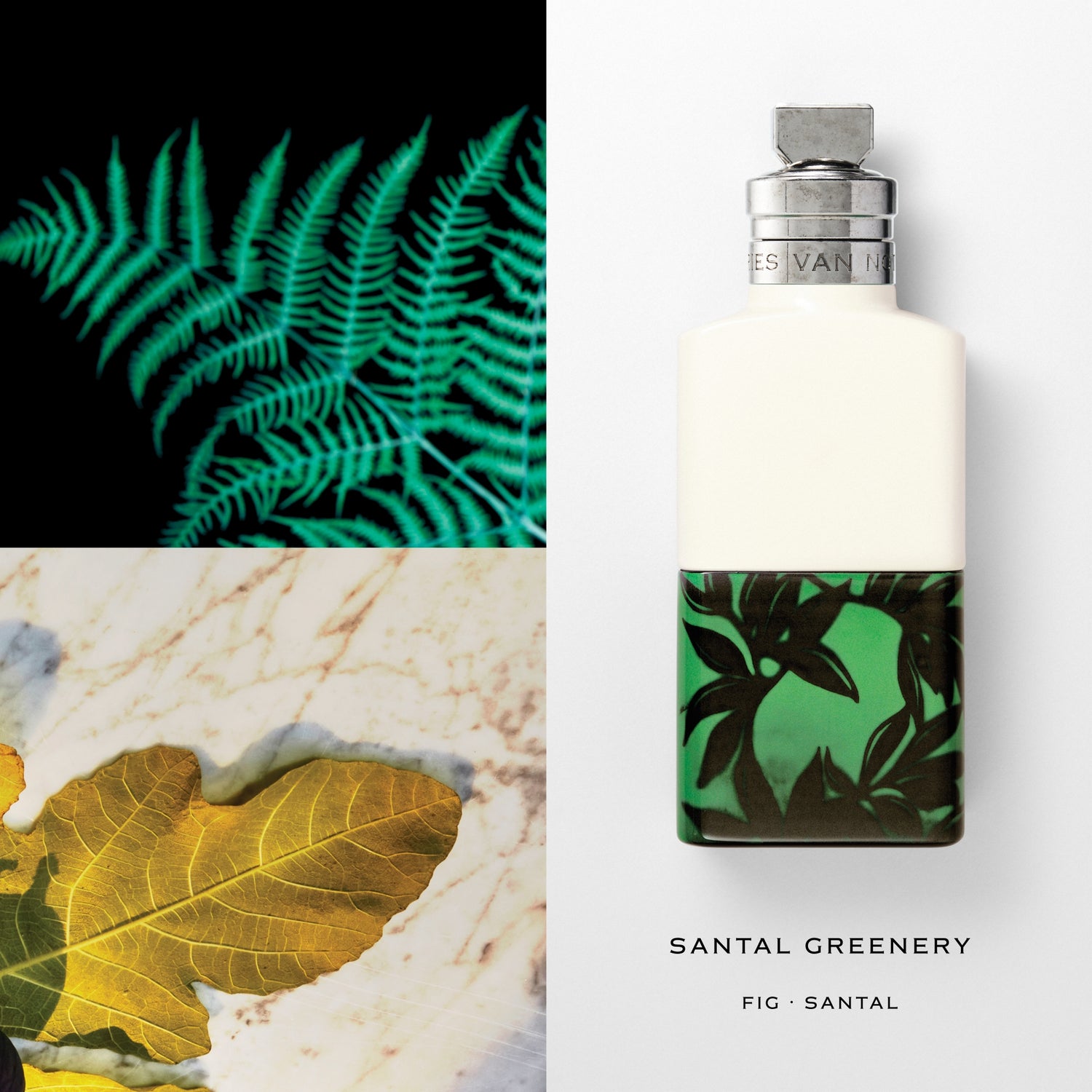 santal greenery