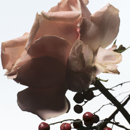 Raving Rose Eau de Parfum