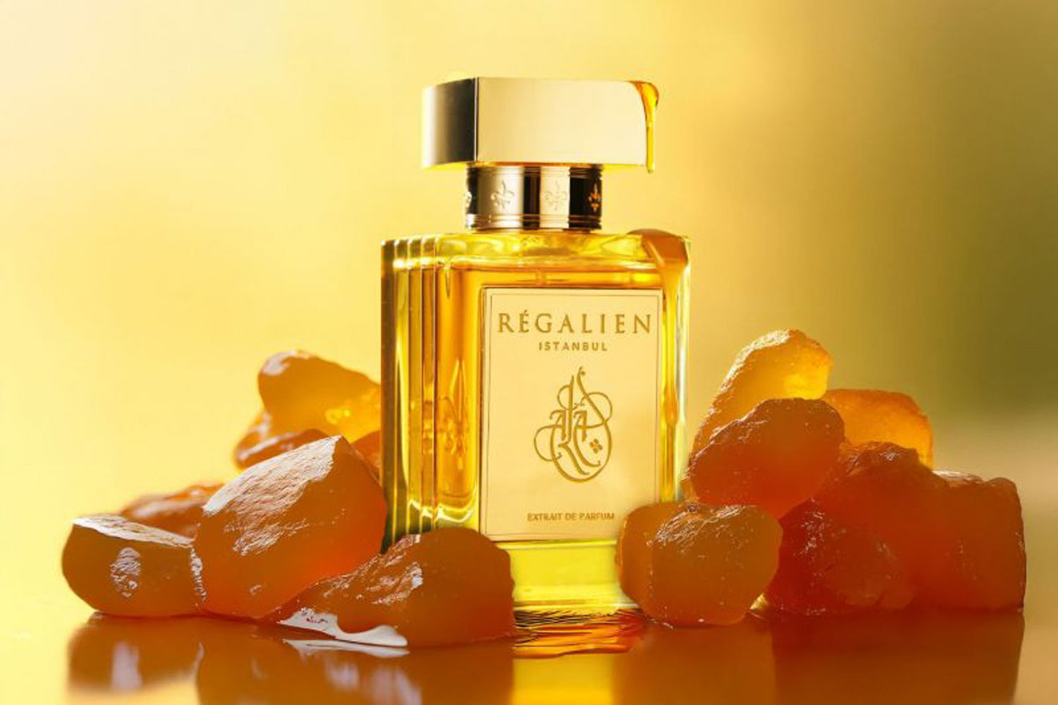 ala (esclusiva online)